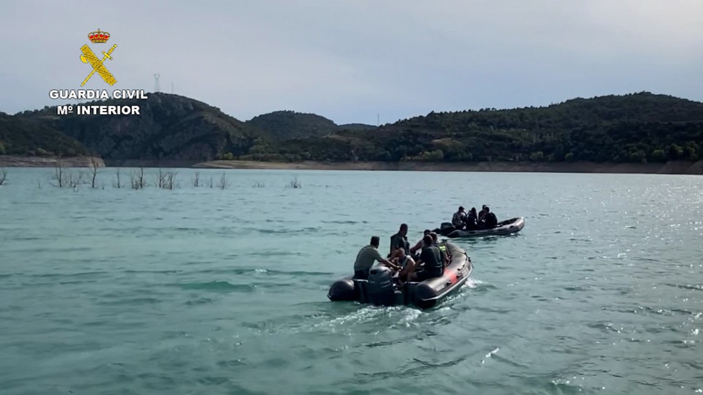 gigantyczna uprawa marihuany