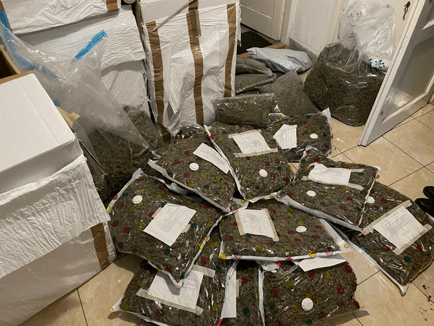 policja skonfiskowała szusz