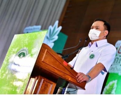 milion sadzonek marihuany