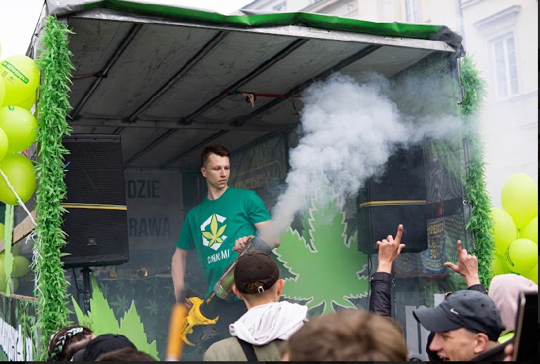 konopne podsumowanie 2022 roku