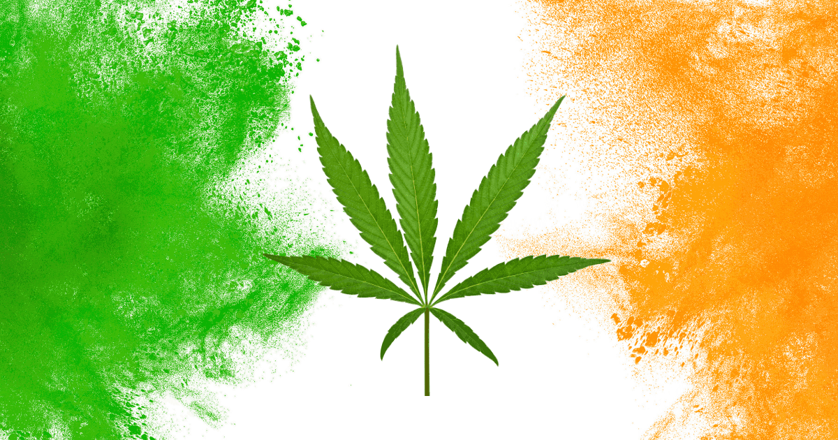 szansa na dekryminalizację marihuany