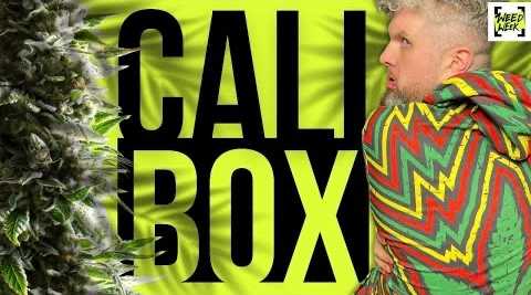 Cali box – czyli najlepsza promocja na nasiona w tym kraju!