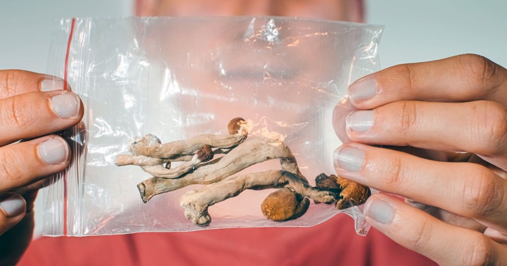 sprzedaż grzybów psylocybinowych