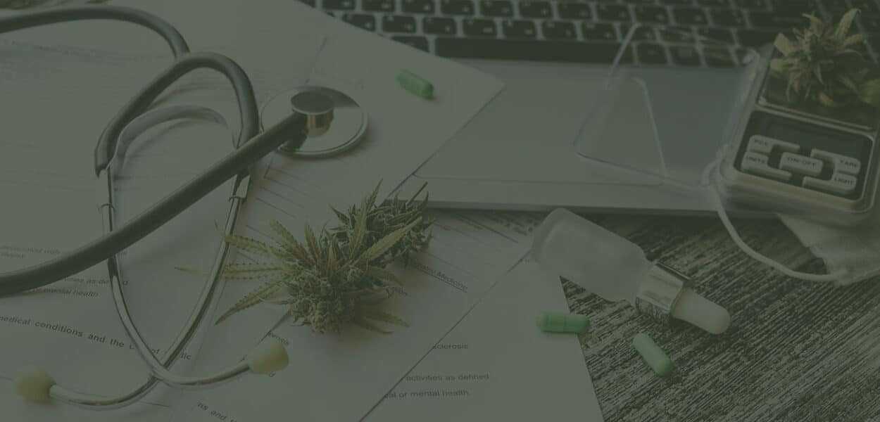 Pomorskie Centrum Marihuany Leczniczej