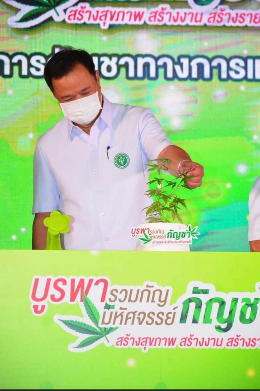 bangkok nowym amsterdamem